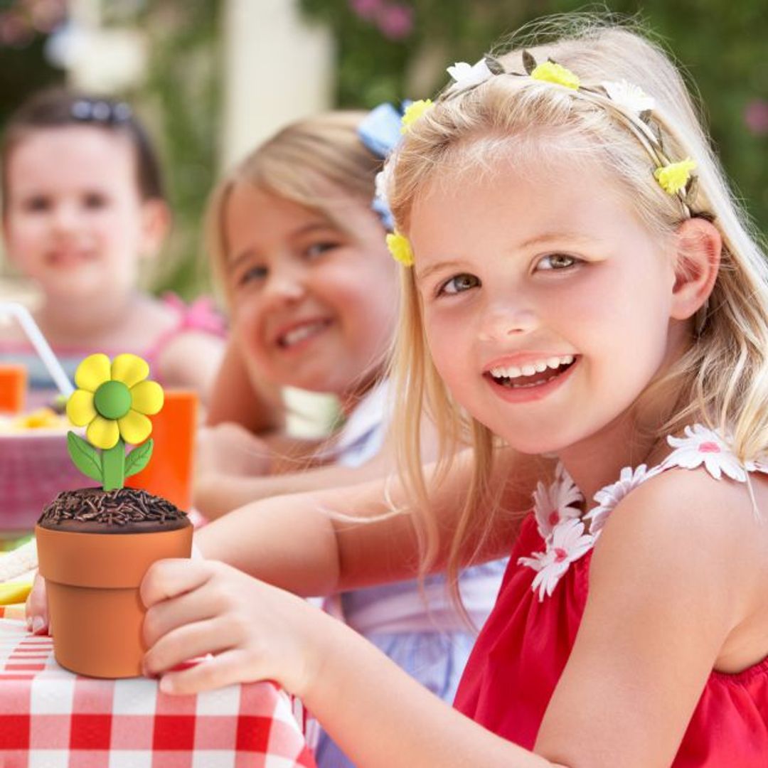 Форма для выпечки Цветок в горшке Neat Eats