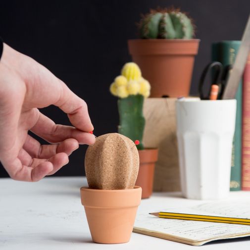 Настольный органайзер Кактус Cork Cactus