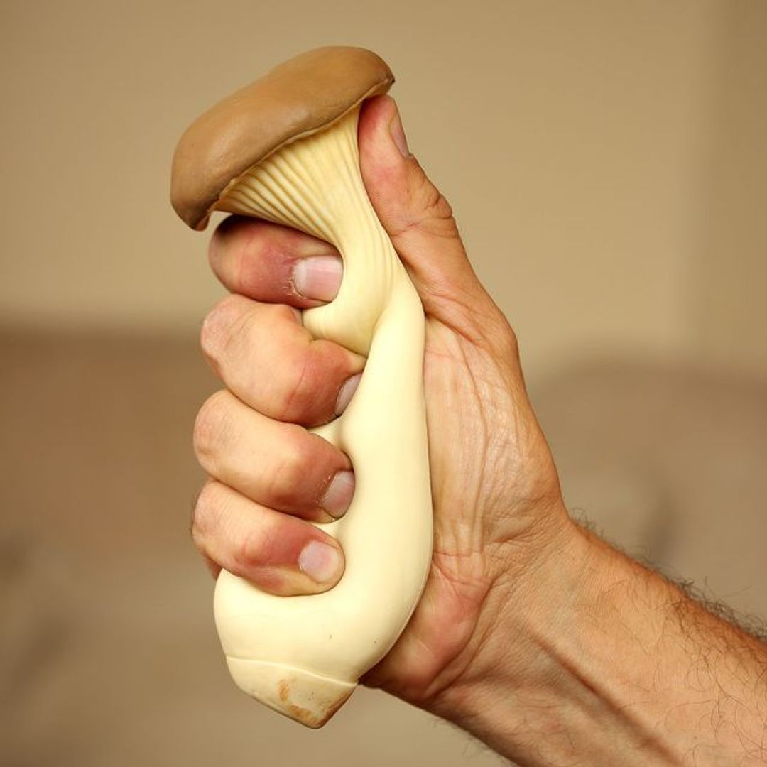 Антистресс Гриб — подосиновик Антистресс Гриб — подосиновик