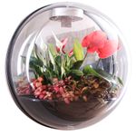 Настенный флорариум Flandriss Miniball Black