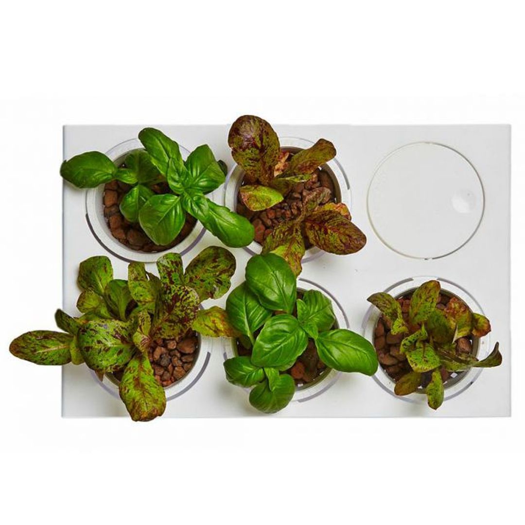 Акваферма AquaFarm