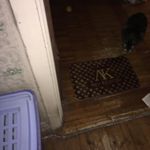 Коврик для входной двери Луи коврон Отзыв