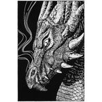 Плед Дракон Drago