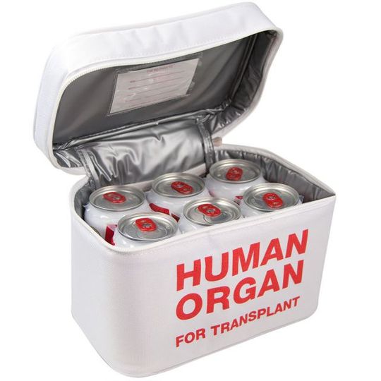                           Сумка Холодильник Человеческий орган Human organ
                