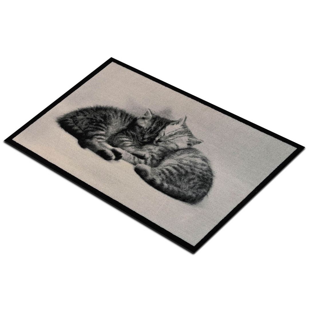 Коврик для входной двери Спящие котята