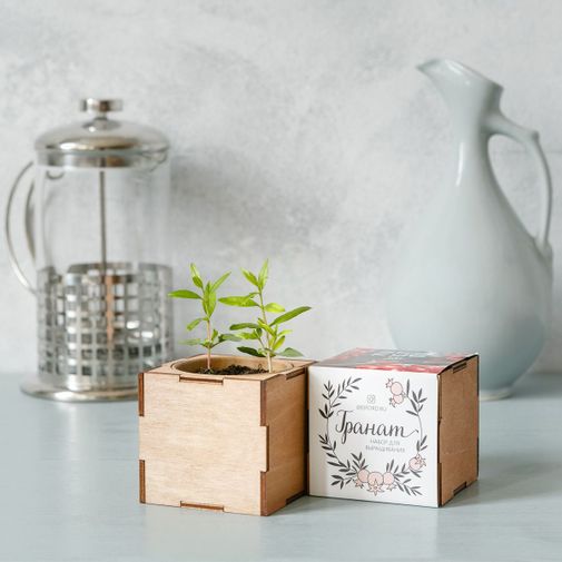 Набор для выращивания Гранат