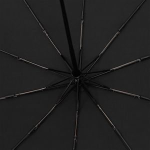 Зонт складной Cloudburst в подарочной упаковке (черный) Зонт складной Cloudburst в подарочной упаковке (черный)