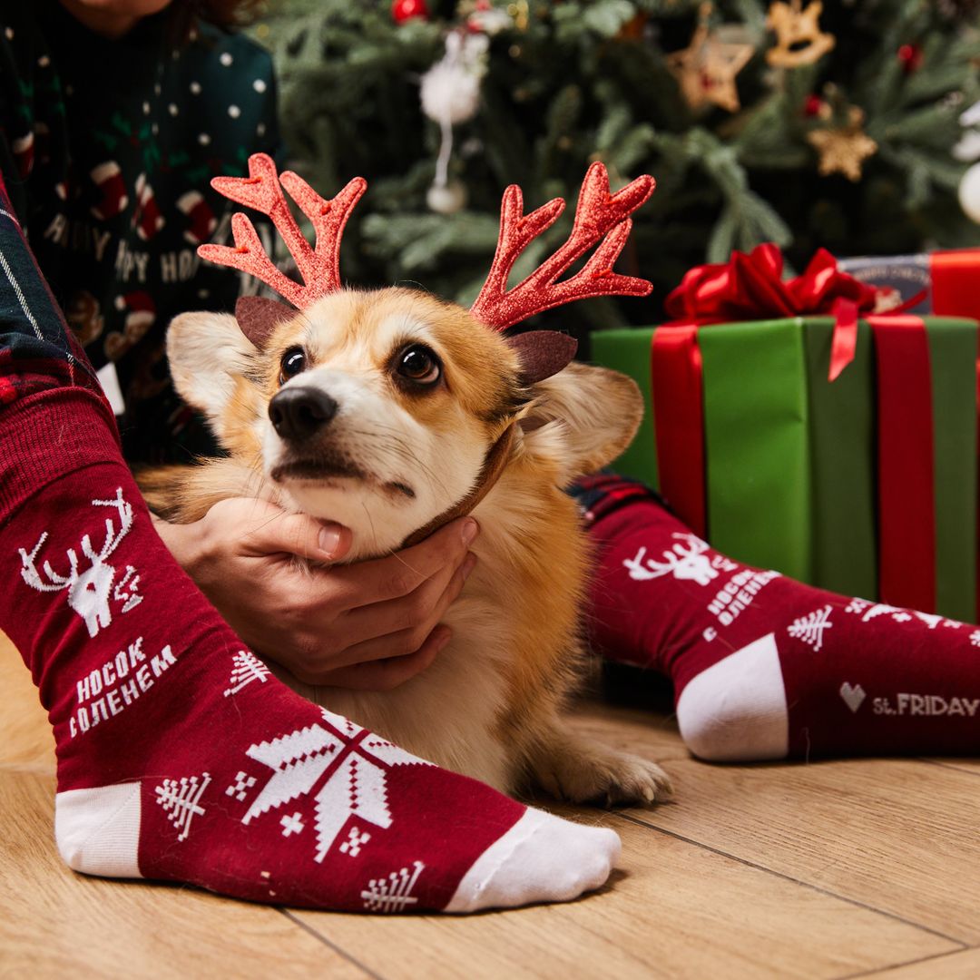 Носки с оленем, дополняющая мета-версия Носки с оленем, дополняющая мета-версия