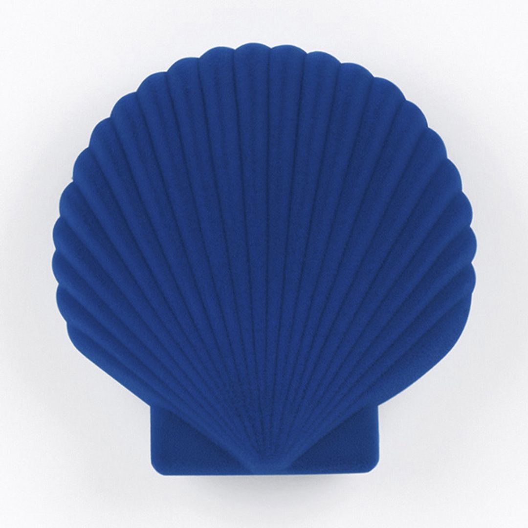 Шкатулка для украшений Shell Шкатулка для украшений Shell
