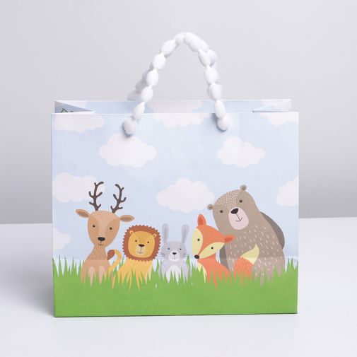 Подарочный пакет с пластиковым окном Friends (24 х 20 х 11 см) Подарочный пакет с пластиковым окном Friends (24 х 20 х 11 см)