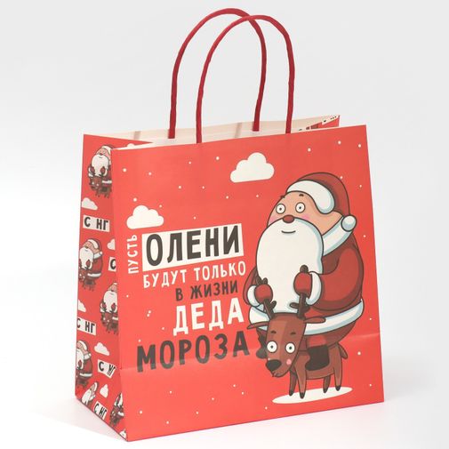 Подарочный пакет Дед мороз (22 х 22 х 11 см) Подарочный пакет Дед мороз (22 х 22 х 11 см)