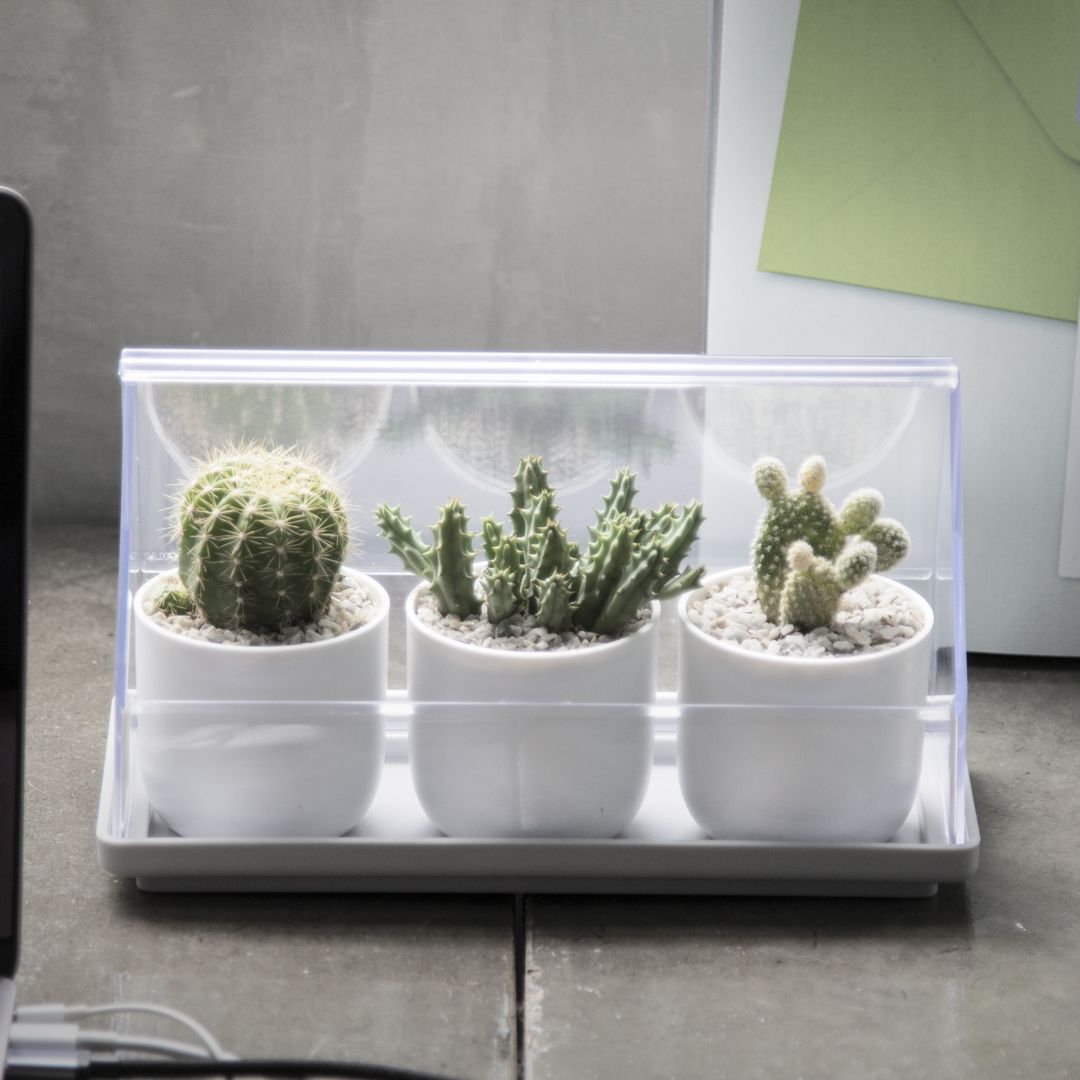 Лоток для выращивания растений Micro Green House