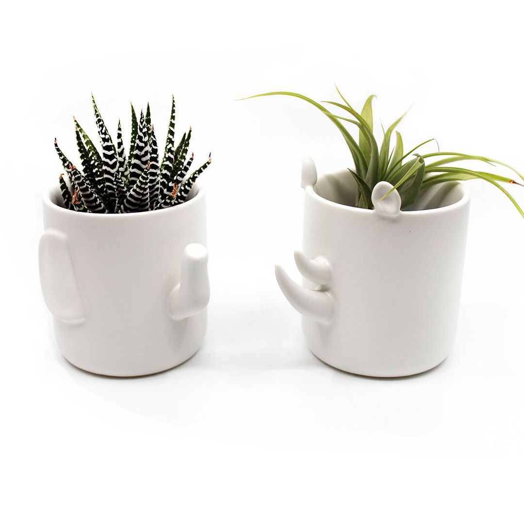 Набор горшочков Wander Pots Сафари Набор горшочков Wander Pots Сафари