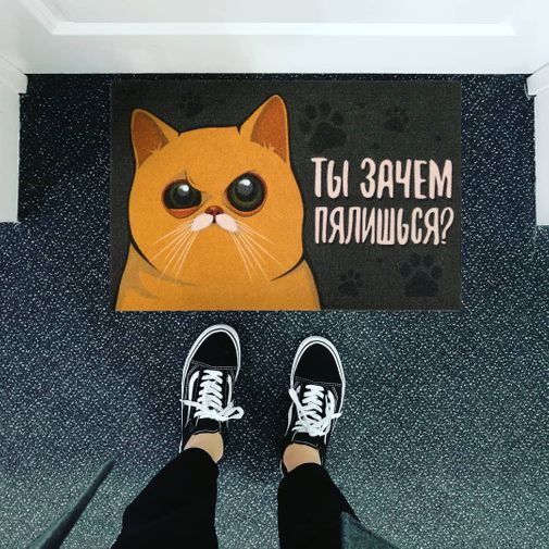 Коврик для входной двери Зачем пялишься?