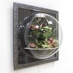 Настенный флорариум Flandriss Черный багет 3D