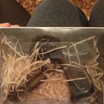 Подарочный набор 23 февраля Настоящий герой (мыло-пистолет и мыло-пуля) Отзыв Подарочный набор 23 февраля Настоящий герой (мыло-пистолет и мыло-пуля) Отзыв