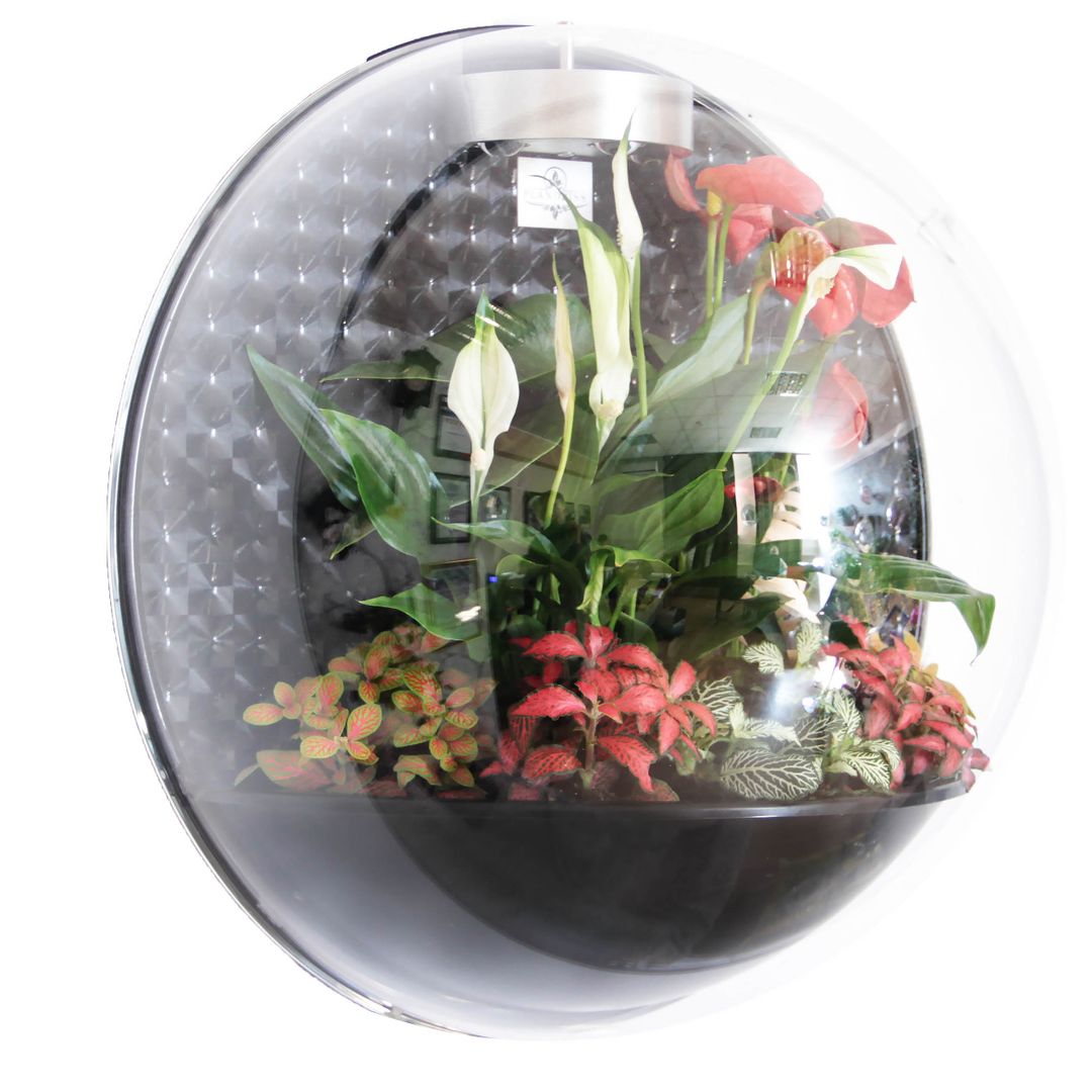 Настенный флорариум Flandriss Miniball Black 3D