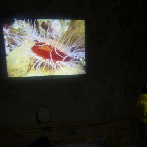 Проектор-исследователь National Geographic Океан и Космос