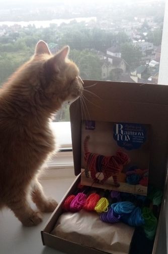 Фото покупателя Виталий Фото покупателя Виталий