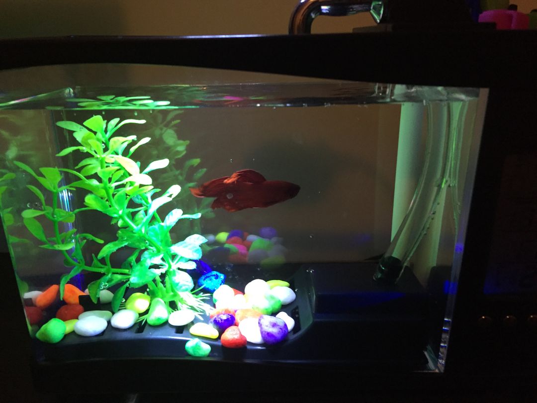 Фото покупателя Мария