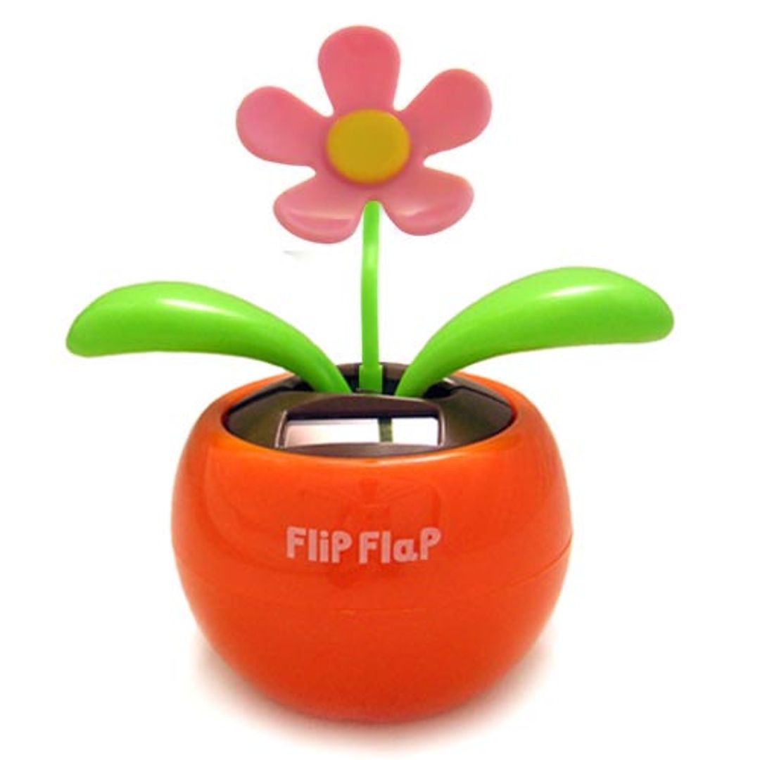 Цветок Flip Flap В Оранжевом горшочке