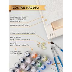 Картина по номерам Скрудж Макдак (40х50 см)