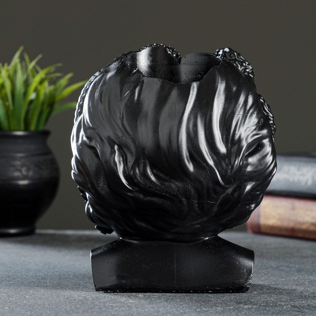 Органайзер Медуза Горгона