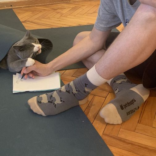 Носки Произошёл троллинг Носки Произошёл троллинг