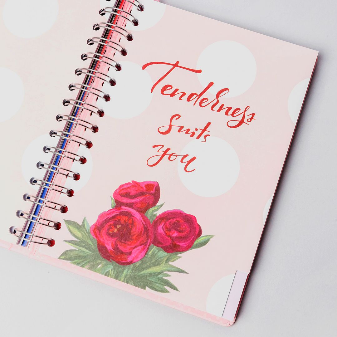 Планер на кольцах I have a plan Планер на кольцах I have a plan