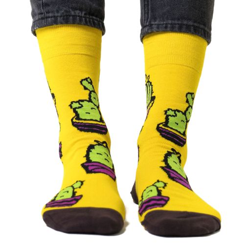 Носки Оранжерея №16 Носки Оранжерея №16