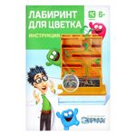 Набор для опытов Лабиринт для цветка
