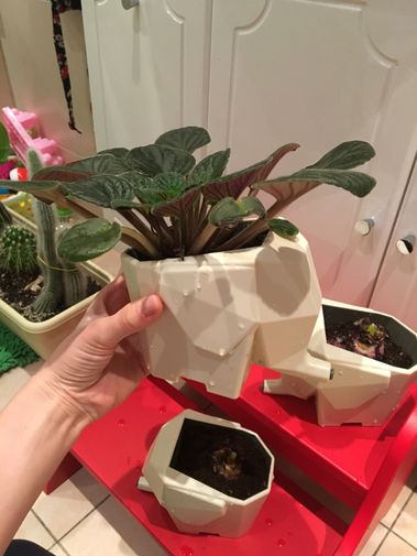 Фото покупателя Екатерина  Фото покупателя Екатерина