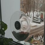 Кормушка для птиц оконная Eva Solo (большая) Отзыв