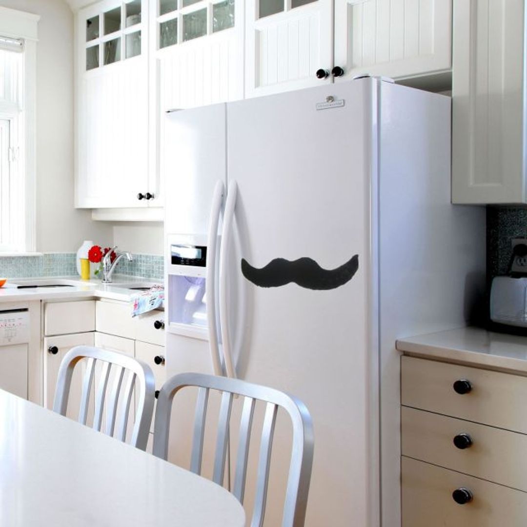 Магнитные мохнатые Усы