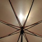 Зонт Утка Отзыв Зонт Утка Отзыв