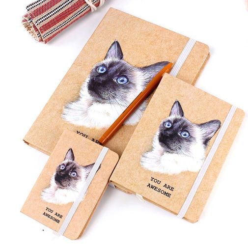 Блокнот You Are Awesome (A5) (Сиамский) Блокнот You Are Awesome (A5) (Сиамский)