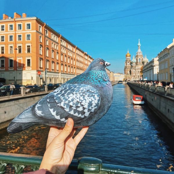 Декоративная подушка Голубь