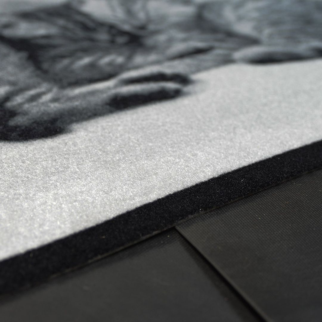 Коврик для входной двери Спящие котята