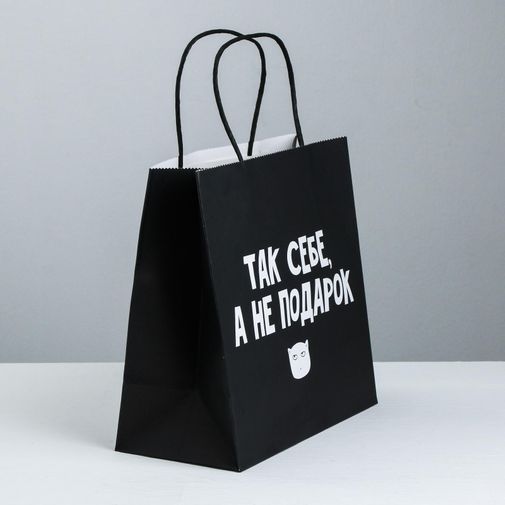 Подарочный пакет Так себе, а не подарок (22 × 22 × 11 см)