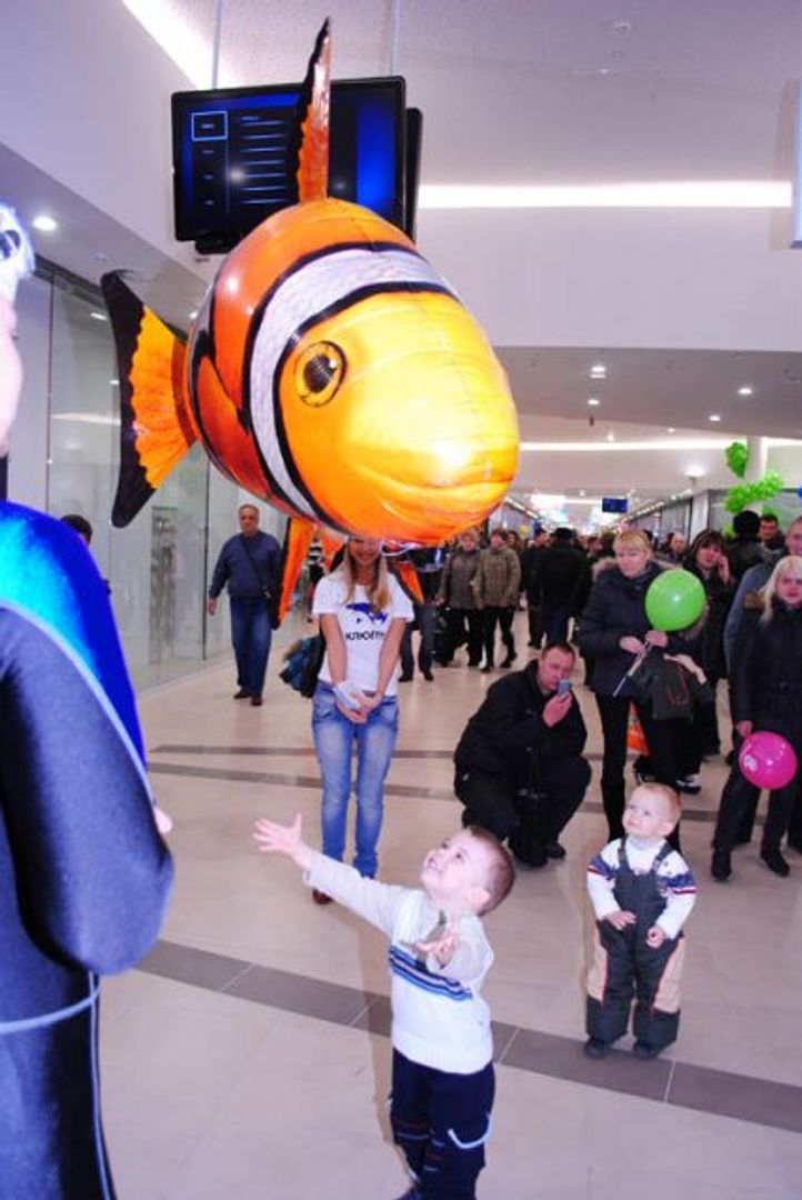 Летающая Рыба Клоун Летающая Рыба Клоун