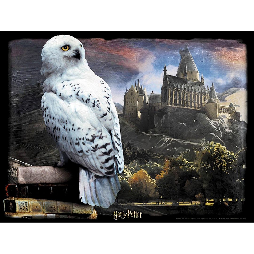 3D Пазл Гарри Поттер Букля (500 элементов)