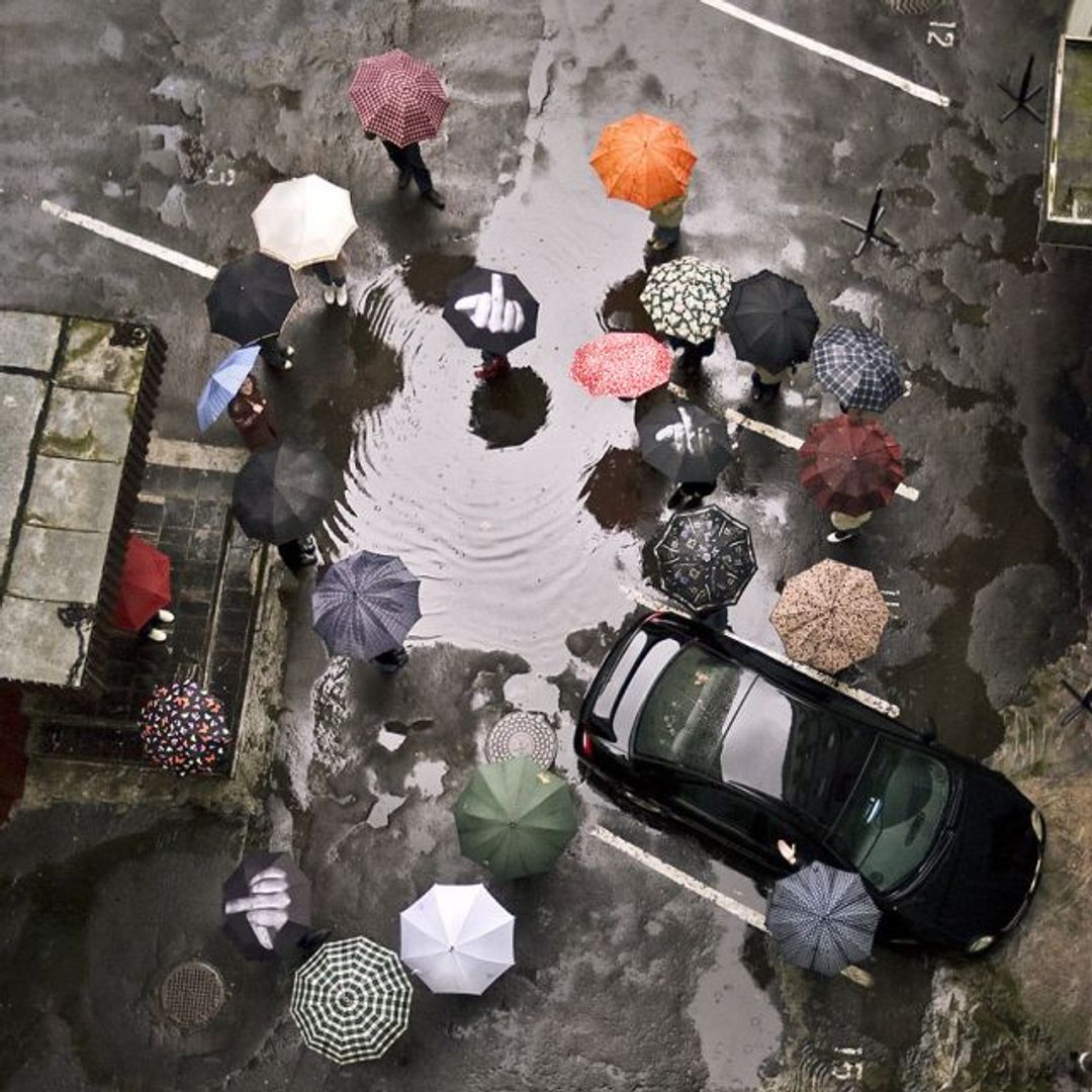 Зонт Фак дождю Зонт Фак дождю