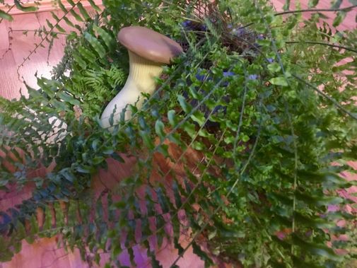 Фото покупателя Леонид Фото покупателя Леонид