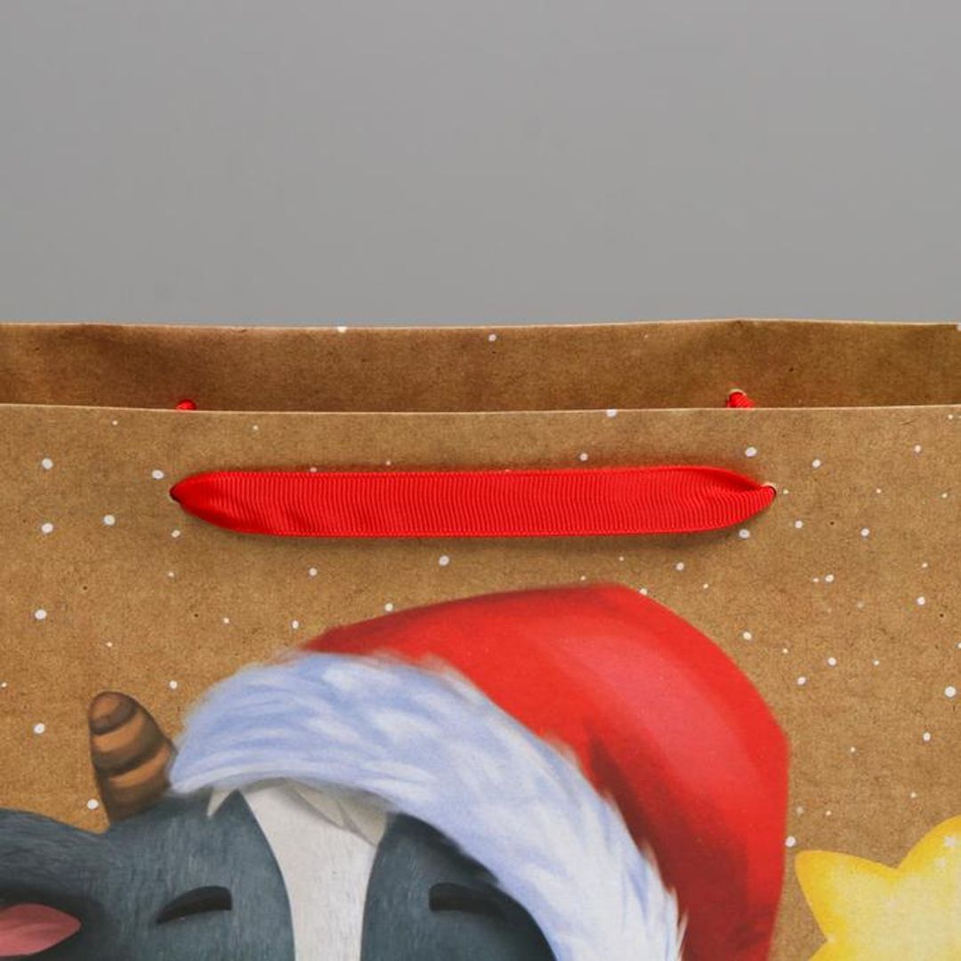 Подарочный пакет Новогодние чудеса Подарочный пакет Новогодние чудеса