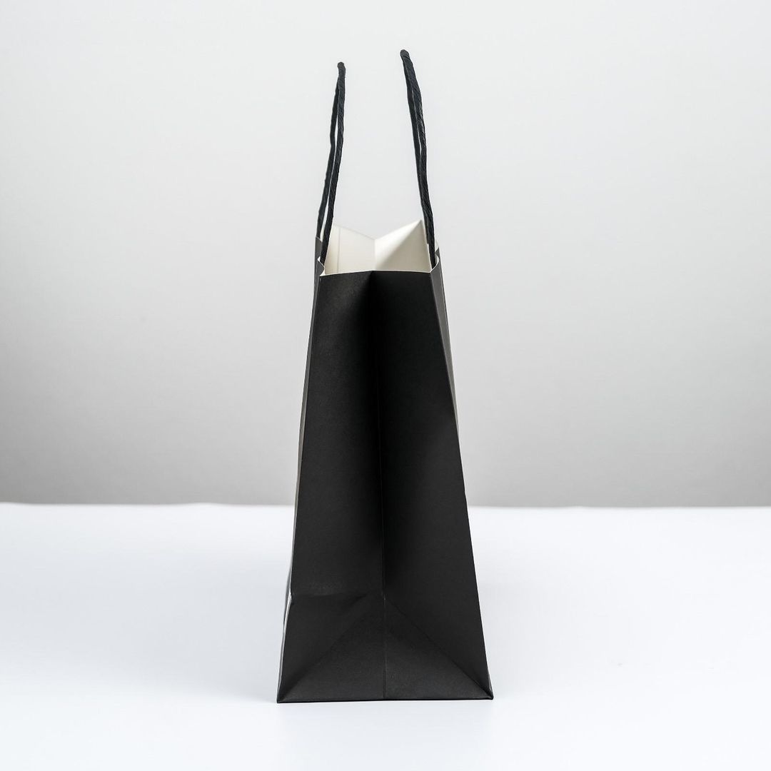 Подарочный пакет С днищем (22 × 22 × 11 см) Подарочный пакет С днищем (22 × 22 × 11 см)