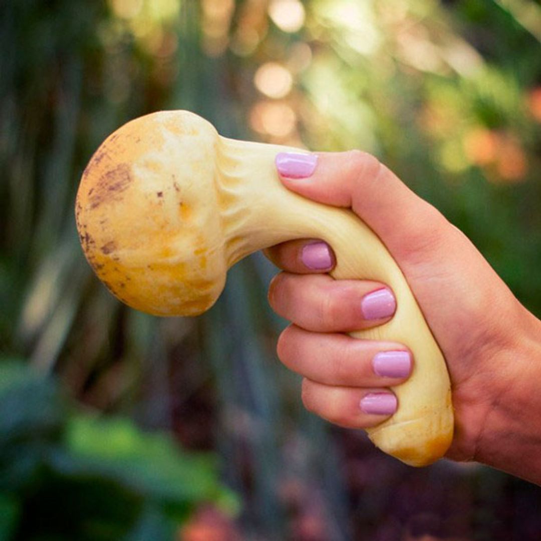 Антистресс Гриб — груздь Антистресс Гриб — груздь