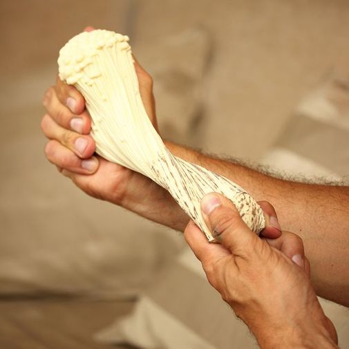 Антистресс Гриб — китайский Антистресс Гриб — китайский