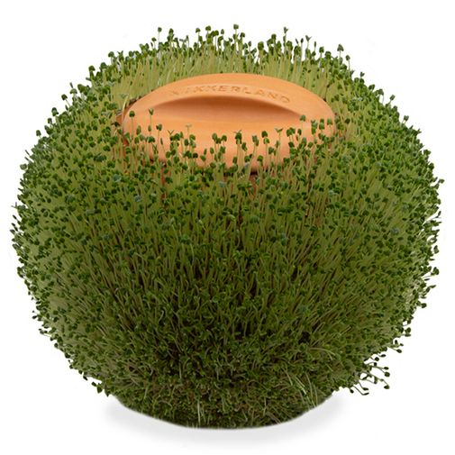 Кашпо Green Orb Кашпо Green Orb