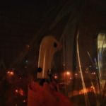 Зонт Утка Отзыв Зонт Утка Отзыв