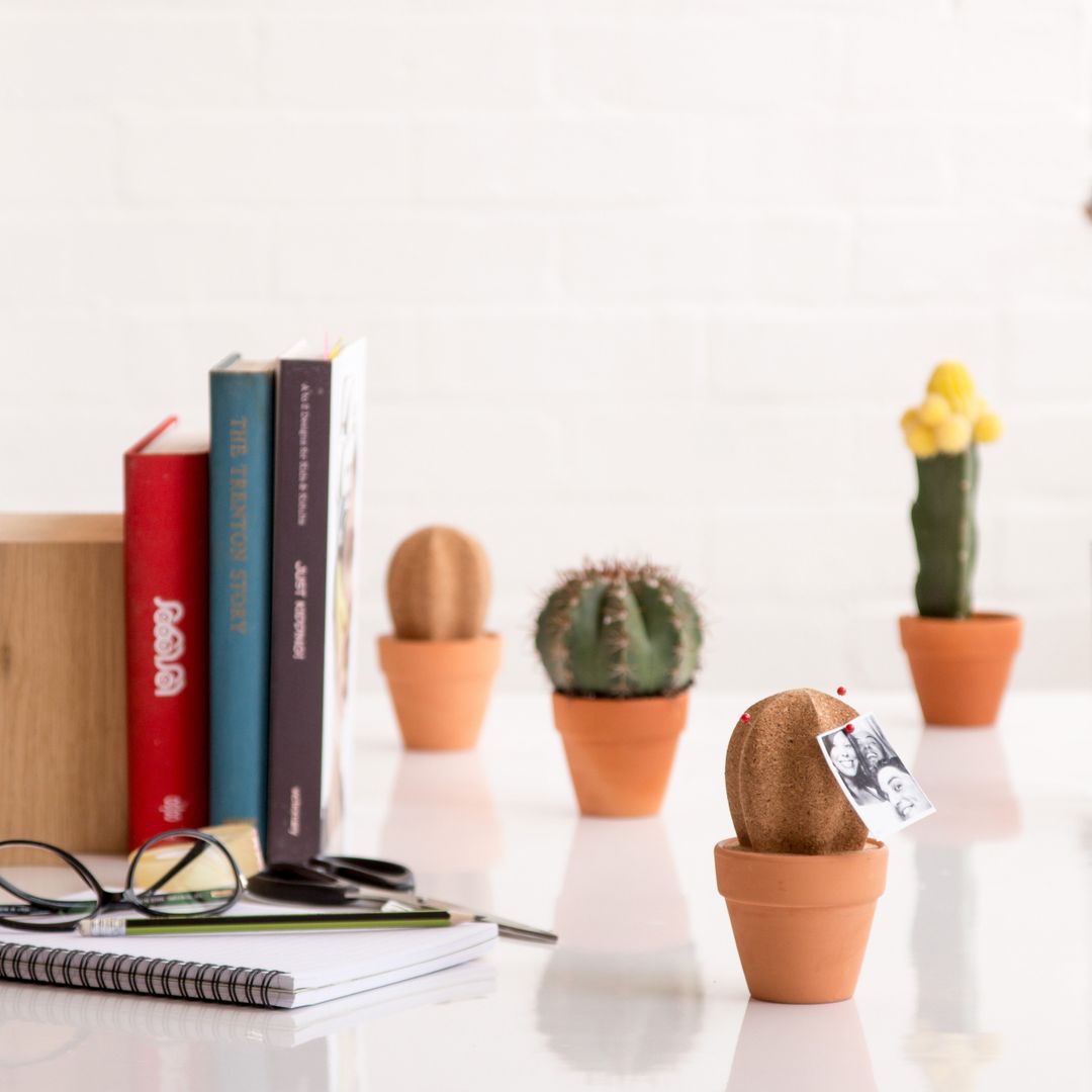 Настольный органайзер Кактус Cork Cactus